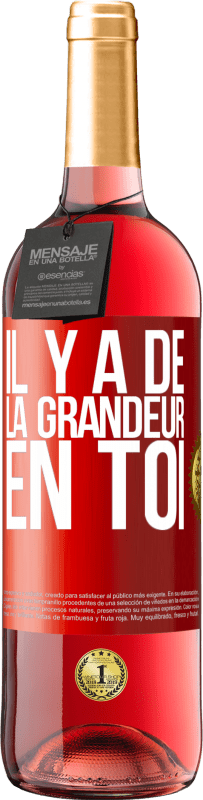 29,95 € | Vin rosé Édition ROSÉ Il y a de la grandeur en toi Étiquette Rouge. Étiquette personnalisable Vin jeune Récolte 2023 Tempranillo