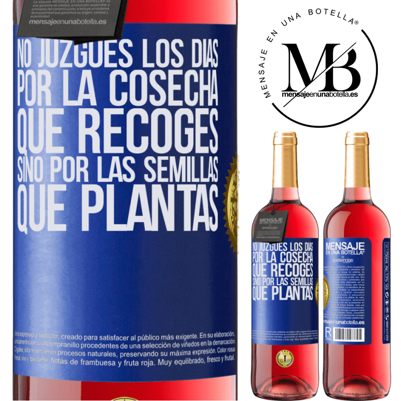 29,95 € Envío gratis | Vino Rosado Edición ROSÉ No juzgues los días por la cosecha que recoges, sino por las semillas que plantas Etiqueta Azul. Etiqueta personalizable Vino joven Cosecha 2024 Tempranillo