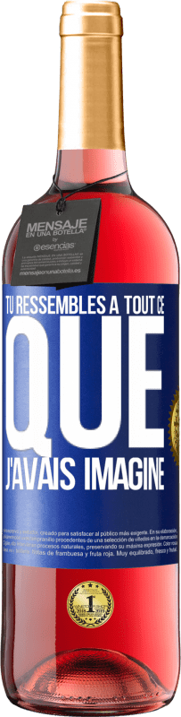 29,95 € | Vin rosé Édition ROSÉ Tu ressembles à tout ce que j'avais imaginé Étiquette Bleue. Étiquette personnalisable Vin jeune Récolte 2024 Tempranillo