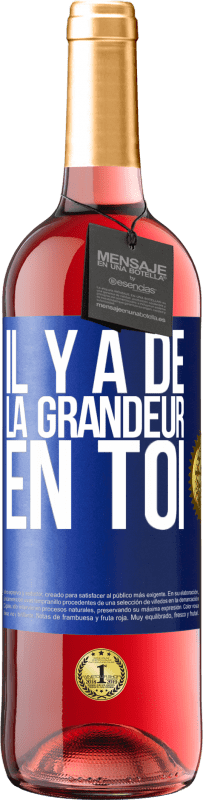 29,95 € | Vin rosé Édition ROSÉ Il y a de la grandeur en toi Étiquette Bleue. Étiquette personnalisable Vin jeune Récolte 2025 Tempranillo