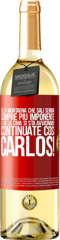 29,95 € | Vino bianco Edizione WHITE Se la montagna che sali sembra sempre più imponente, è che la cima si sta avvicinando. Continuate così Carlos! Etichetta Rossa. Etichetta personalizzabile Vino giovane Raccogliere 2024 Verdejo