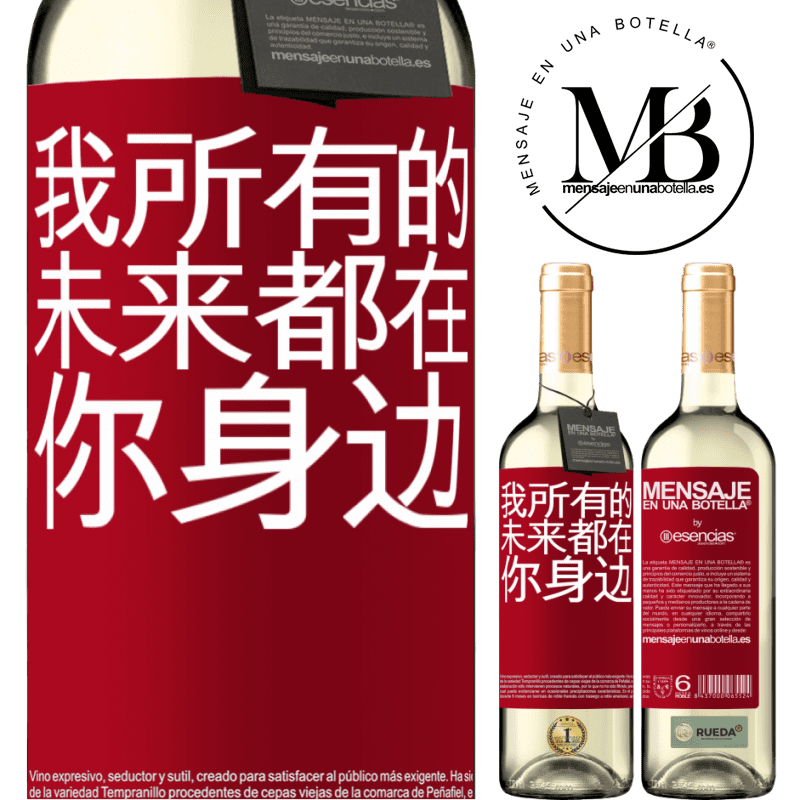 «我所有的未来都在你身边» WHITE版