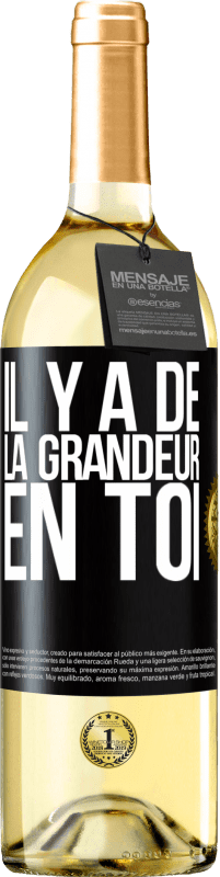 29,95 € | Vin blanc Édition WHITE Il y a de la grandeur en toi Étiquette Noire. Étiquette personnalisable Vin jeune Récolte 2023 Verdejo