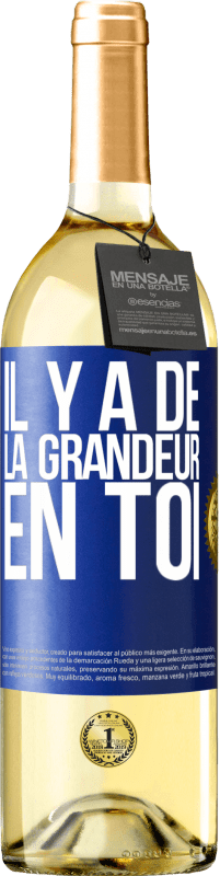 29,95 € | Vin blanc Édition WHITE Il y a de la grandeur en toi Étiquette Bleue. Étiquette personnalisable Vin jeune Récolte 2023 Verdejo