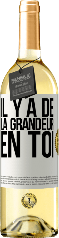 29,95 € | Vin blanc Édition WHITE Il y a de la grandeur en toi Étiquette Blanche. Étiquette personnalisable Vin jeune Récolte 2023 Verdejo