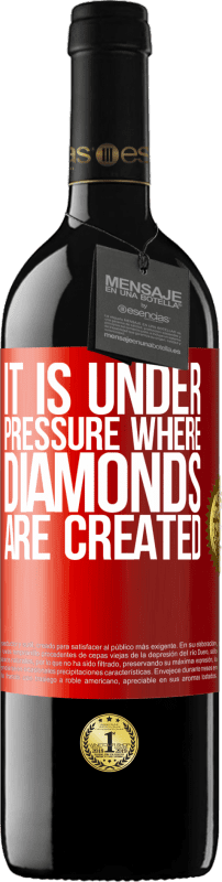 «制造钻石的压力很大» RED版 MBE 预订