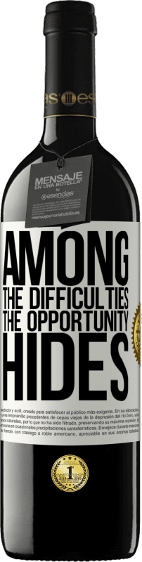 «机会掩盖的困难之中» RED版 MBE 预订