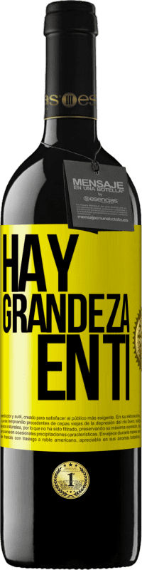 39,95 € | Vino Tinto Edición RED MBE Reserva Hay grandeza en ti Etiqueta Amarilla. Etiqueta personalizable Reserva 12 Meses Cosecha 2016 Tempranillo