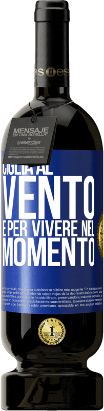 49,95 € Spedizione Gratuita | Vino rosso Edizione Premium MBS® Riserva Ciglia al vento e per vivere nel momento Etichetta Blu. Etichetta personalizzabile Riserva 12 Mesi Raccogliere 2016 Tempranillo