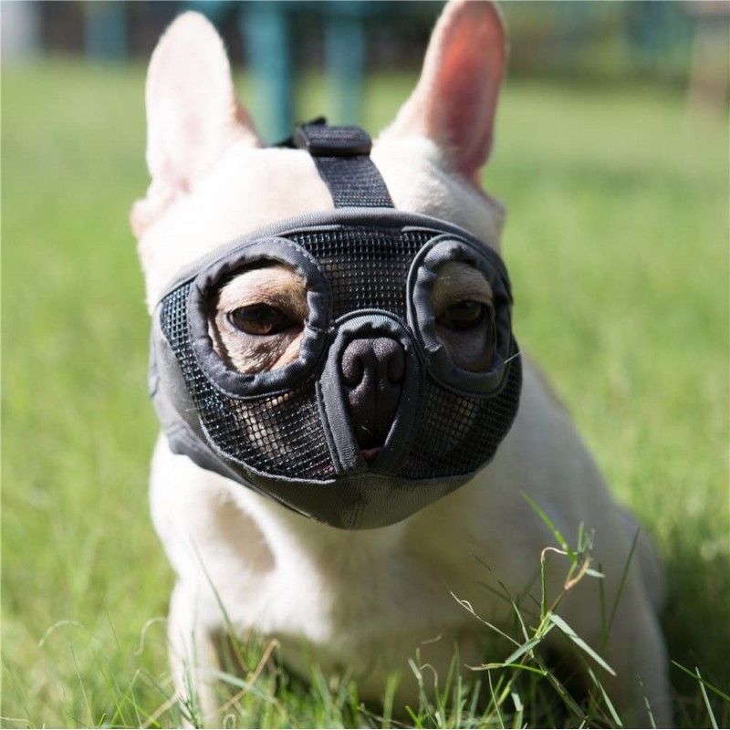 27,99 € Free Shipping | Medium (M) Pet Muzzles Adjustable breathable mesh muzzle. Chewing barking training dog mask Gray