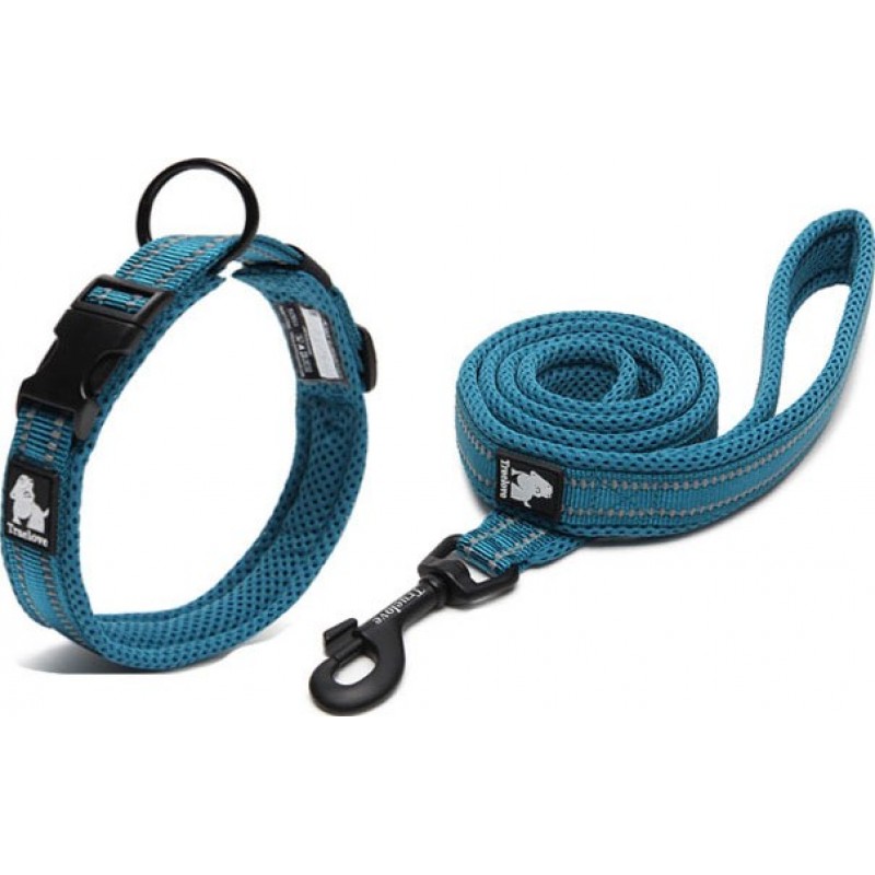 15,99 € Envoi gratuit | Boîte de 2 unités Petits (S) Colliers Collier pour chien réglable en nylon. Rembourré. Col réfléchissant