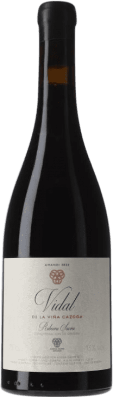 Free Shipping | Red Wine Damm Vidal de la Viña Cazoga D.O. Ribeira Sacra Galicia Spain 75 cl