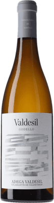 Valdesil Godello — 戈德略 Valdeorras 75 cl