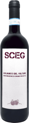 Elena Fucci Sceg