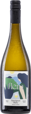 Gross Flein Saft Sauvignon — ソーヴィニヨン 75 cl アルコールなし