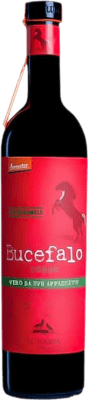Bio Cantina Orsogna Lunaria Bucefalo Appassite Montepulciano — 蒙特普尔恰诺 Abruzzo Rosso — 红 75 cl