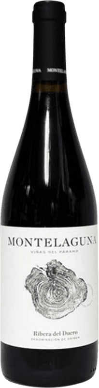 Envío gratis | Vino Tinto Dehesa Valdelaguna Montelaguna D.O. Ribera del Duero Castilla y León España Tempranillo 75 cl