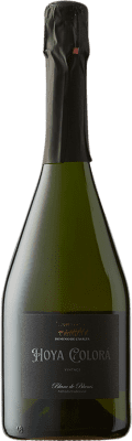 Dominio de Casalta. Hoya Colorá Chardonnay 75 cl