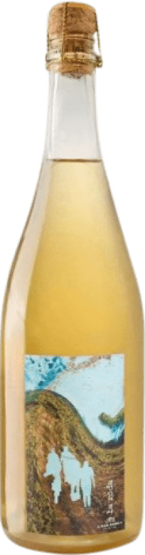 21,95 € Free Shipping | Rosé Sparkling Wine Mas Gomà La Roda Ancestral