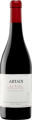 Artadi La Poza de Ballesteros Bouteille Jéroboam-Double Magnum 3 L