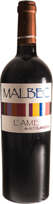 Alto Landón L'Ame Malbec Seco — Sec Manchuela Bio — Écologique 75 cl Végan