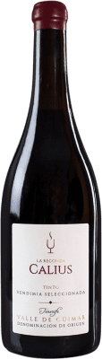 Cándido Hernández Pío Calius Seco — Trocken Valle del Güímar VS Vendimia Seleccionada — Ausgewählte Weinlese 75 cl