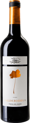 Valdebodega Tempranillo — Темпранильо Ribera del Duero Crianza — Крианса 75 cl