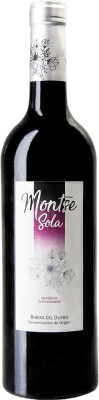 Valdebodega Montse Sola Tempranillo Ribera del Duero VS Vendimia Seleccionada — Vendemmia Selezionata 75 cl