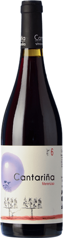 61,95 € Envio grátis | Vinho Tinto Cantariña 6 Seis Seco D.O. Bierzo Bio — Ecológico Vegano