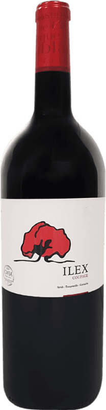 Бесплатная доставка | Красное вино Castilblanque Ilex Seco — Сухое Coupage — Кюваж I.G.P. Vino de la Tierra de Castilla Кастилья-Ла-Манча Испания Tempranillo — Темпранильо, Syrah — Сира, Garnacha — Гренаш Бутылка Магнум 1,5 L