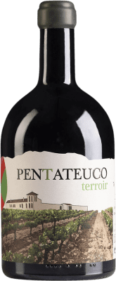 Pentateuco ARN Terroir Seco — 干型 Vino de la Tierra de Extremadura 大瓶 — Magnum 1,5 L