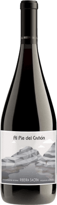 Ronsel do Sil Al Pie del Cañón Caíño Seco — Dry Ribeira Sacra 75 cl