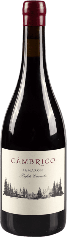 Spedizione Gratuita | Vino Rosso Cámbrico Jamarón Seco — Secco D.O.P. Vino de Calidad Sierra de Salamanca Castilla y León Spagna Rufete 75 cl