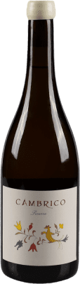 Cámbrico Pizarra Seco — Secco