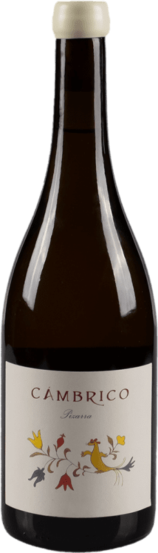 38,95 € Envio grátis | Vinho Branco Cámbrico Pizarra Seco D.O.P. Vino de Calidad Sierra de Salamanca