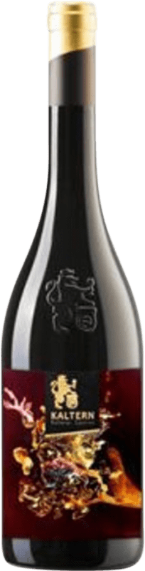 92,95 € Envío gratis | Vino Tinto Kaltern Kunst Stück Reserva D.O.C. Alto Adige