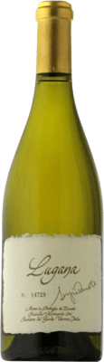 Cantina Zenato Cariñena — Carignan Trocken — Dry Lugana Reserve — Aged 75 cl