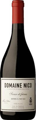 Domaine Nico Histoire d'A Pinot Noir Mendoza 75 cl