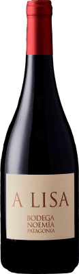 Bodega Noemia A Lisa Malbec — Мальбек Patagonia 75 cl