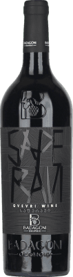 Badagoni Qvevri Saperavi Kakheti 75 cl