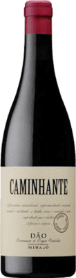 C2O Caminhante Dão 75 cl