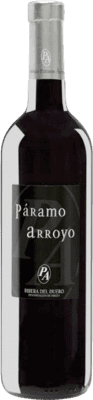 Páramo Arroyo Tempranillo — 丹魄 Ribera del Duero 75 cl