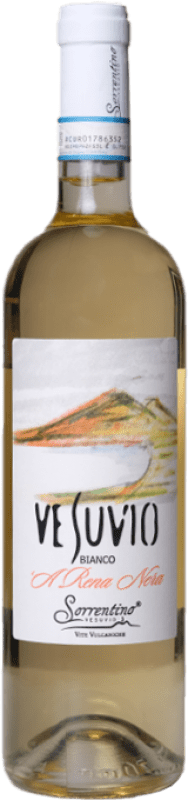 19,95 € Envoi gratuit | Vin Blanc Tenuta Sorrentino Vesuvio D.O.C. Vesuvio
