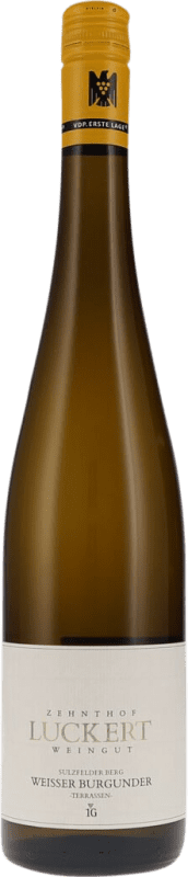 Envío gratis | Vino blanco Zehnthof Theo Luckert Sulzfelder Berg Terrassen Seco V.D.P. Grosses Gewächs GG Alemania Pinot Blanco 75 cl