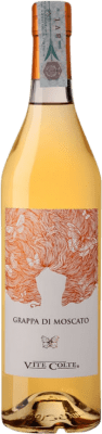 Grappa Vite Colte La Bella Moscato — Muscat Moscato d'Asti Single Estate 70 cl