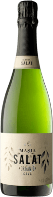 Josep Masachs Masia Salat ブルットの自然 Cava 75 cl