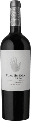 Finca Algarve Cinco Sentidos Malbec Mendoza 予約 75 cl