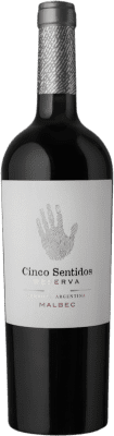 Finca Algarve Cinco Sentidos Malbec Mendoza Reserve — Aged 75 cl