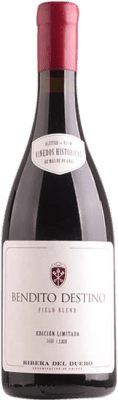Bendito Destino