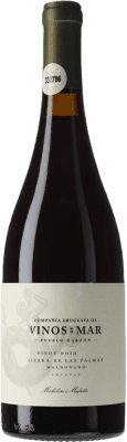 Michelini i Mufatto Sierra de las Palmas Pinot Black 75 cl